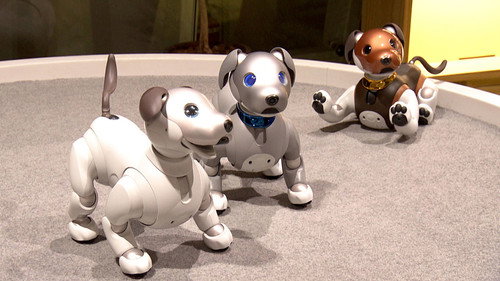 Japanology Plus Season 8 Episode 18 - Personal Robots