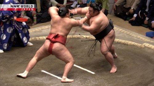GRAND SUMO Highlights Season 15 Episode 14 - Day 14