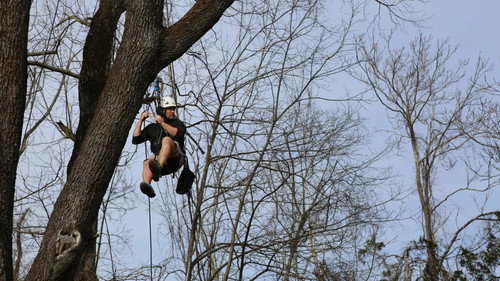 Treehouse Masters Season 9 Episode 9 - Grace VanderWaal's Got Treehouse