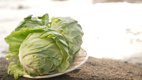 Trails to Oishii Tokyo Season 4 Episode 13 - CABBAGE