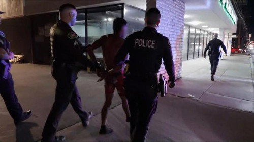 Burglary in Progress still