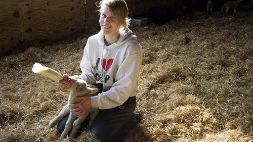 This Farming Life Season 1 Episode 9 - Episode 9