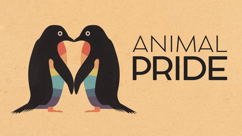 The Nature of Things Season 64 Episode 12 - Animal Pride