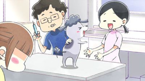 With a Dog AND a Cat, Every Day Is Fun Season 1 Episode 6 - The Vet