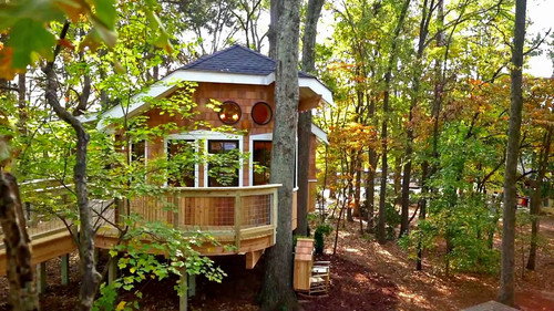 Treehouse Masters Season 8 Episode 5 - The Owl Treehouse