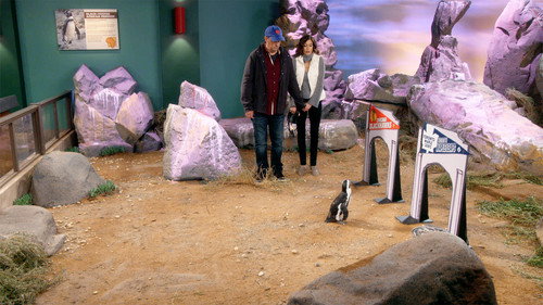 The Odd Couple Season 3 Episode 11 - Batman vs. the Penguin