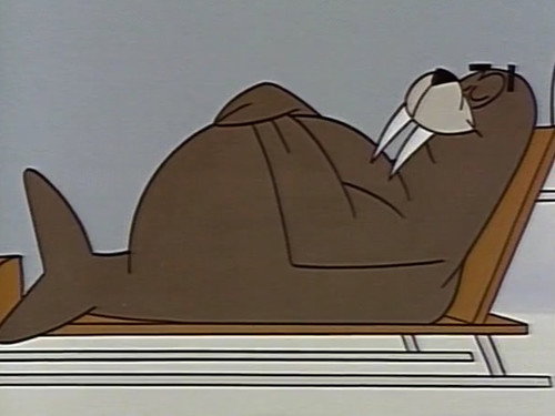Walrus Enroute still