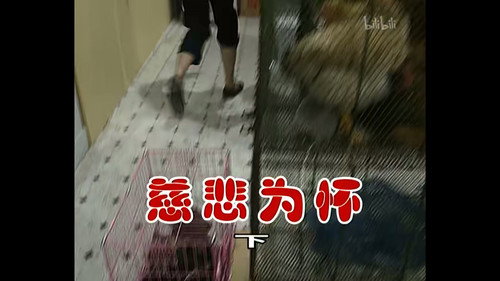 Episode 308 still