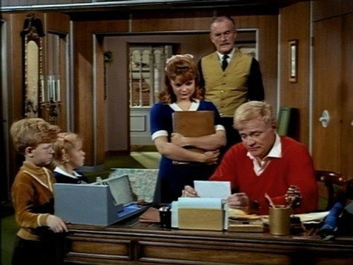 Family Affair Season 1 Episode 20 - A Helping Hand