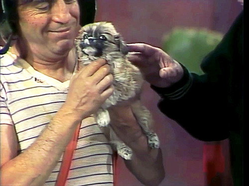 El Chavo del Ocho Season 4 Episode 44 - Mordida
