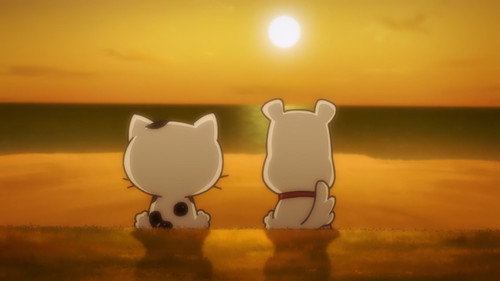 Uchitama?! Have You Seen My Tama? Season 1 Episode 6 - Going to the Beach