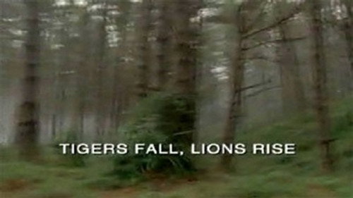 Tigers Fall, Lions Rise still