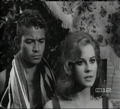 Perry Mason Season 7 Episode 9 - The Case of the Festive Felon
