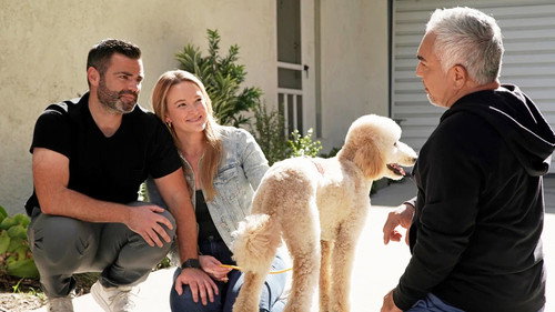 Cesar Millan: Better Human, Better Dog Season 5 Episode 8 - Adoption Playbook