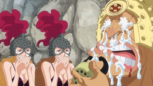 To Be Free! Dressrosa's Delight! still