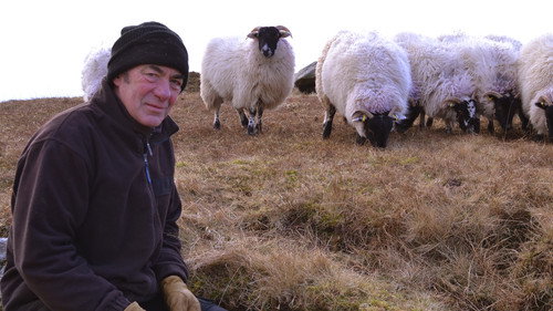This Farming Life Season 1 Episode 3 - Episode 3