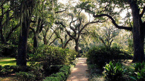 Ghost Adventures Season 9 Episode 2 - The Myrtles Plantation