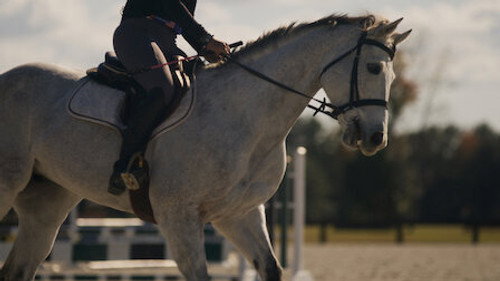 Bad Sport Season 1 Episode 5 - Horse Hitman
