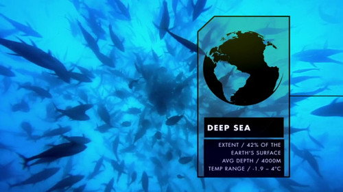 Nature's Microworlds Season 1 Episode 11 - The Deep Sea