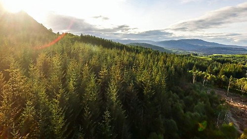 Highlands Rewilding still