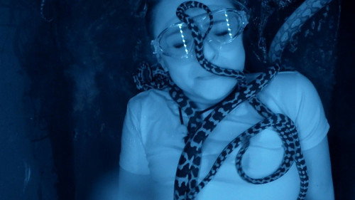 I'm a Celebrity...Get Me Out of Here! Season 18 Episode 2 - The Viper Pit