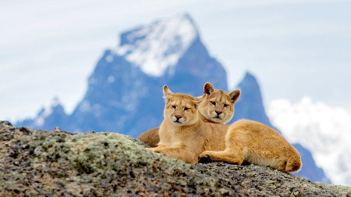 Patagonia: Earth's Secret Paradise Season 1 Episode 1 - Fire and Ice