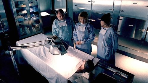 CSI: Crime Scene Investigation Season 1 Episode 21 - Justice is Served