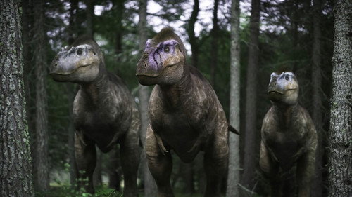 Walking with Dinosaurs Season 1 Episode 4 - The Pack