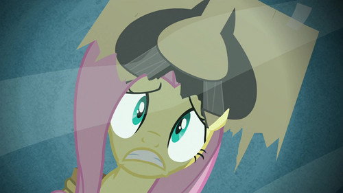 My Little Pony: Friendship Is Magic Season 2 Episode 19 - Putting Your Hoof Down