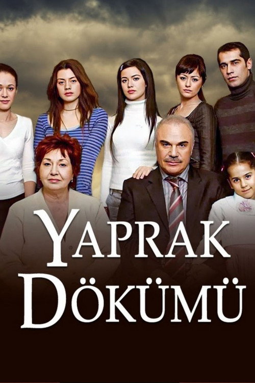 Falling Leaves poster