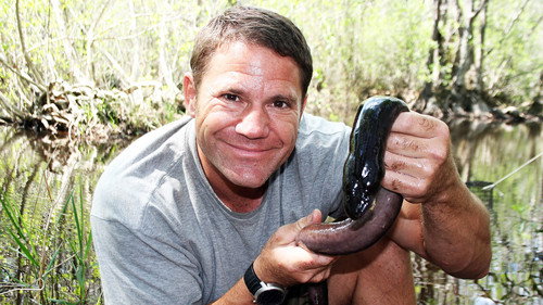 Deadly 60 Season 3 Episode 19 - Florida