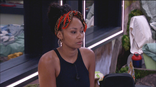 Big Brother Season 26 Episode 21 - Episode 21