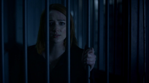 Zoo Season 3 Episode 11 - Cradles and Graves