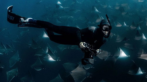 Deep Dive North America Season 1 Episode 3 - Crowded Seas