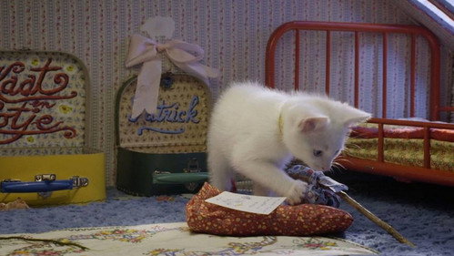 Poesjes Season 1 Episode 6 - Episode 6