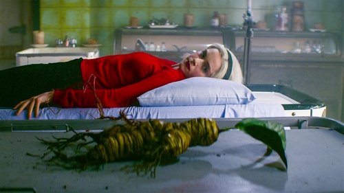 Chilling Adventures of Sabrina Season 1 Episode 19 - Chapter Nineteen: The Mandrake