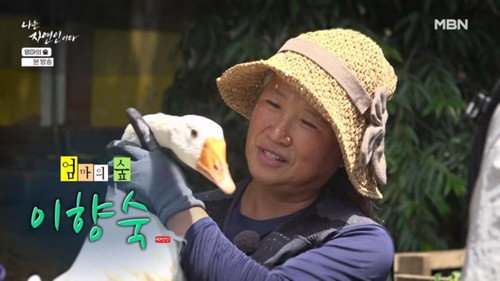 Episode 667 still