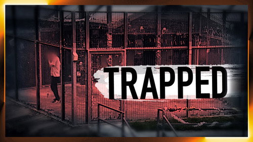 Trapped still