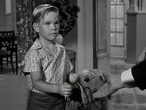 Hazel Season 1 Episode 14 - Hazel's Dog Days