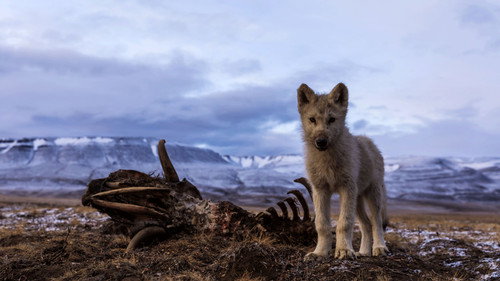 Kingdom of the White Wolf Season 1 Episode 3 - The Last Hunt