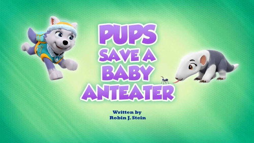 Pups Save a Baby Anteater still