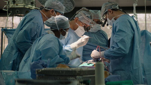 The Surgeon's Cut Season 1 Episode 4 - Heart & Soul