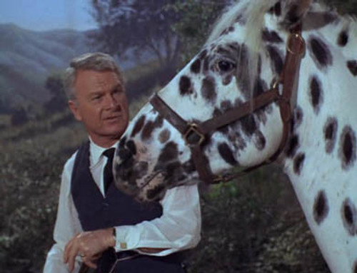 undefined Season 1 Episode 29 - Horse? What Horse?