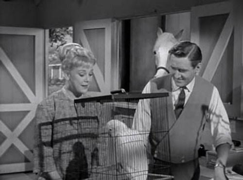 Mister Ed Season 3 Episode 24 - Ed the Emancipator
