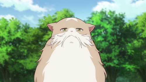 The Cat and the Dragon Season 1 Episode 6 - The Evening of Foxtails