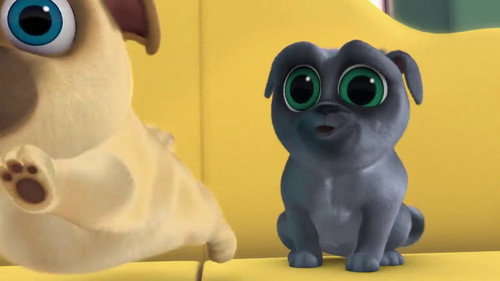 Puppy Dog Pals Season 1 Episode 8 - Special Delivery
