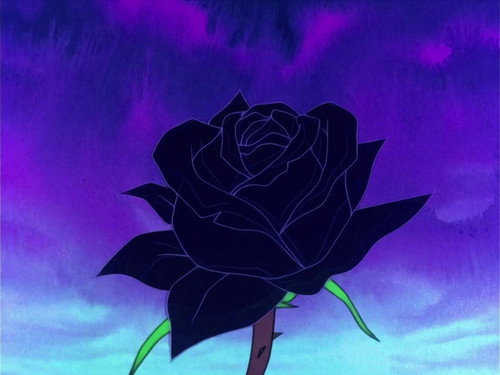 Life on a flower still