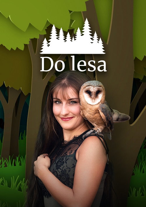 Do lesa poster