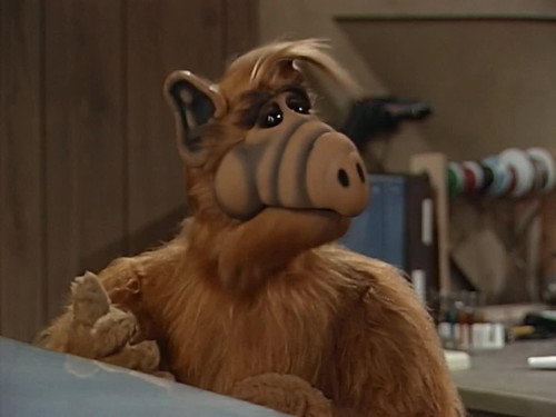 ALF Season 3 Episode 14 - Fight Back