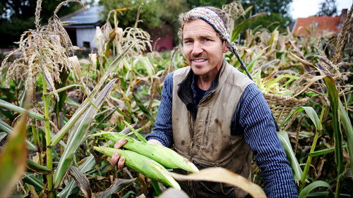 Frank & Kastaniegaarden Season 28 Episode 20 - Corn Harvest and Sea Buckthorn